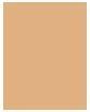 Produktbild Shiseido Syncho Skin Self Refreshing Liquid Concealer (301 Medium)