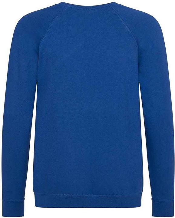 Actual product image Awdis Childrens/Kids Academy Raglan Sweatshirt (158)