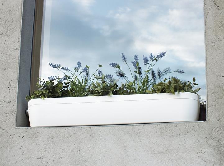 Image du produit Rephorm Bac à fleurs Windowgreen 85 cm - Blanc (20 cm)