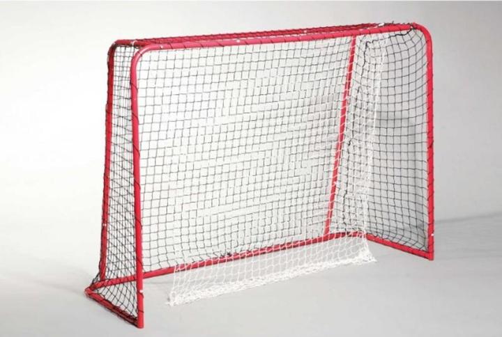 Champ Unihockeytor