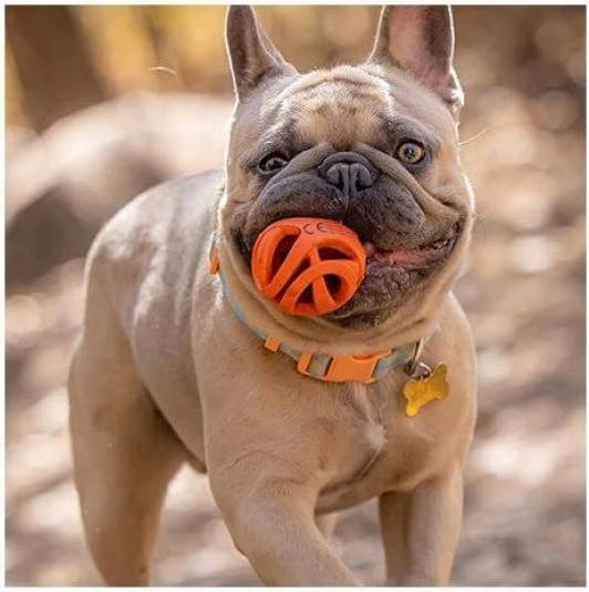 Produktbild Chuckit! CHUCKIT BREATHE RIGHT Ball holen Openwork 7 5 cm Durchmesser Grösse L Orange (Kauspielzeug Hund)