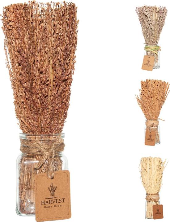 Image du produit Casativo Herbe décorative