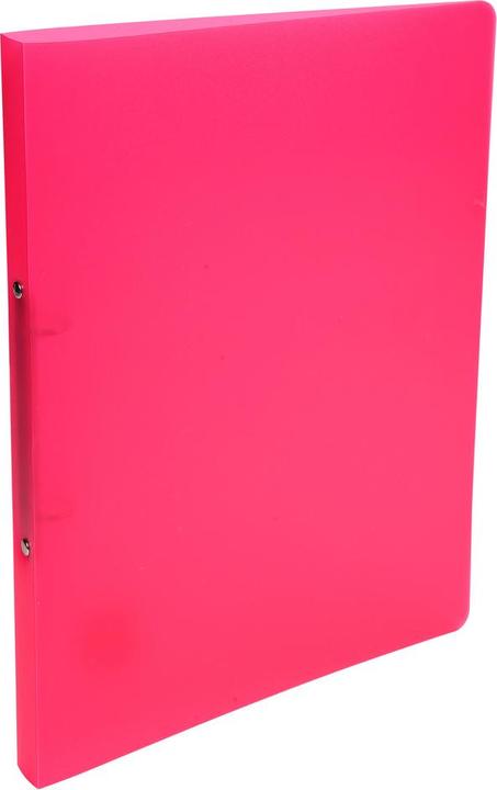 Actual product image Exacompta Ring binders (A4, 20 mm, 1 Piece)