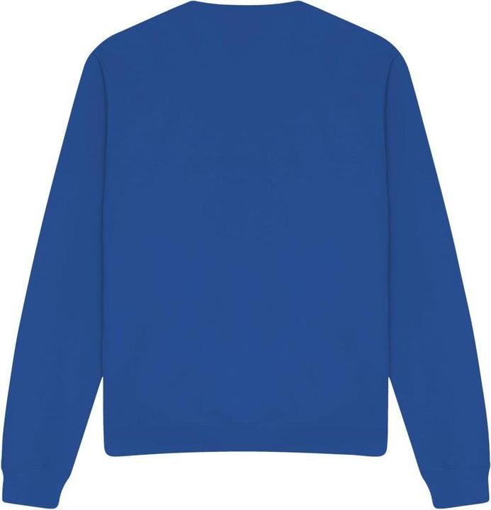 Actual product image Unisex Adult Varsity Sweatshirt (S)