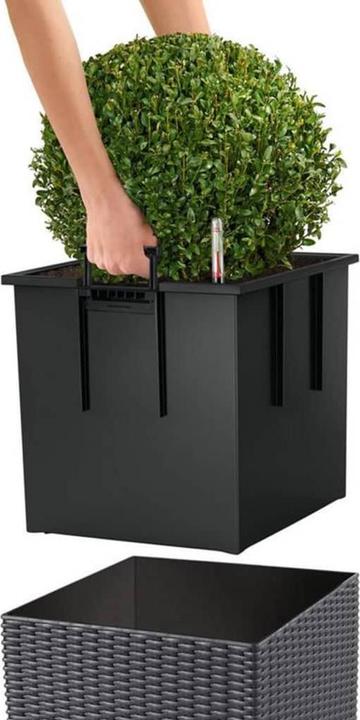 Produktbild Lechuza Cube Cottage (29.50 cm)