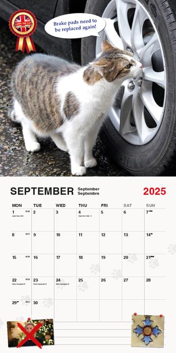 Produktbild Larry The Cat 2025 (Harter Einband, Deutsch)