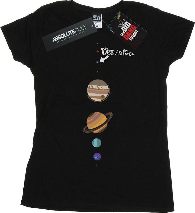 Actual product image Dam Womens/Ladies You Are Here Cotton T-Shirt (M)