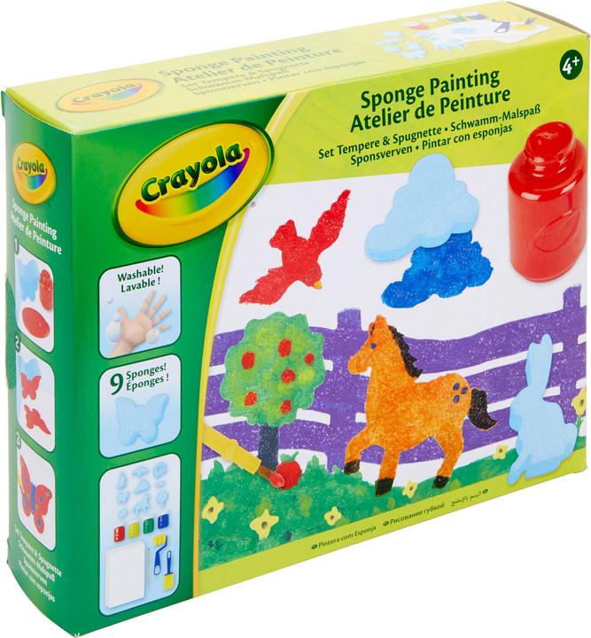 Actual product image Crayola Craft set painting with sponge