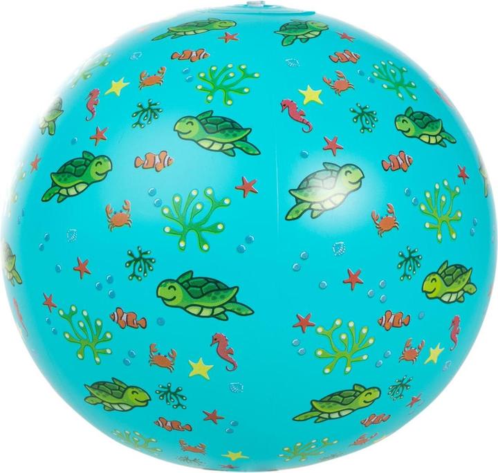 Actual product image FTM Pool Set