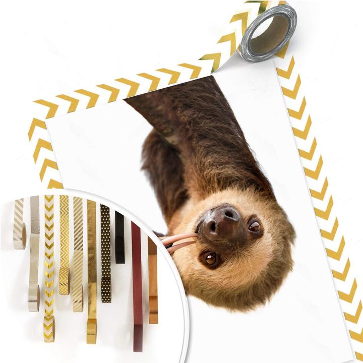 Actual product image Trenddeko The Sloth (24 x 30 cm)