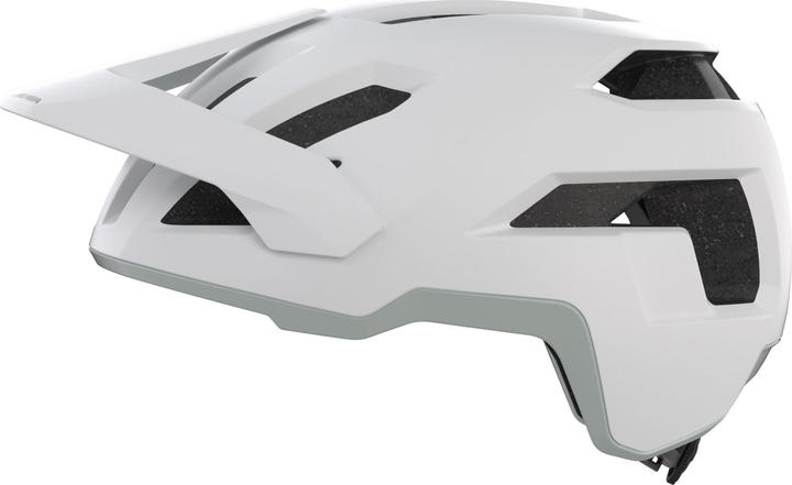 Image du produit ALPINA SPORTS Taunus (52 - 56 cm)