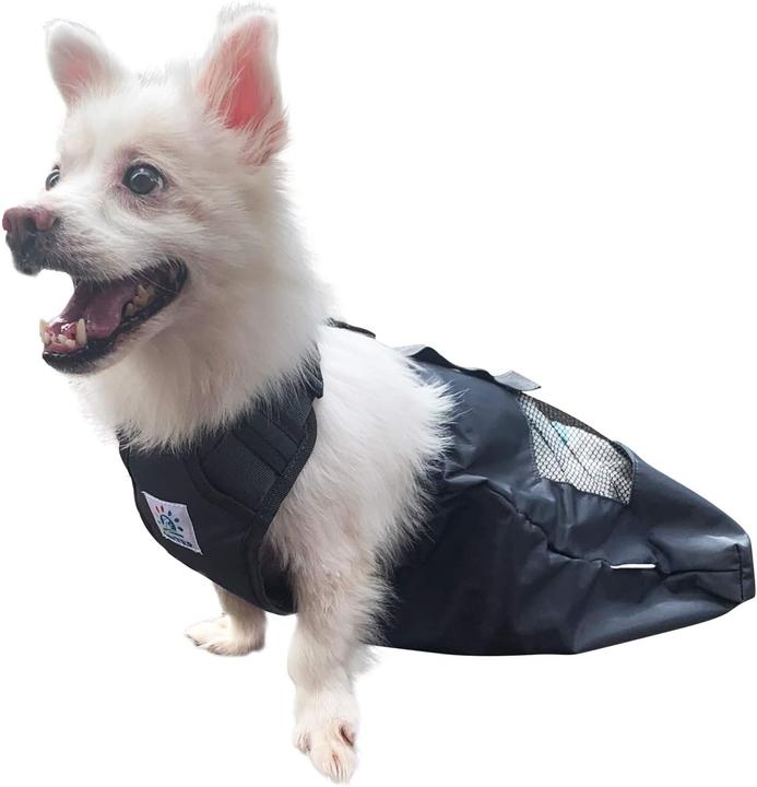 Immagine prodotto DerYEP Scooter per cani XS (XS, Cane, Gatto, Generale)