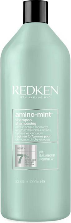Actual product image Redken Amino Mint (1000 ml, Dry shampoo)