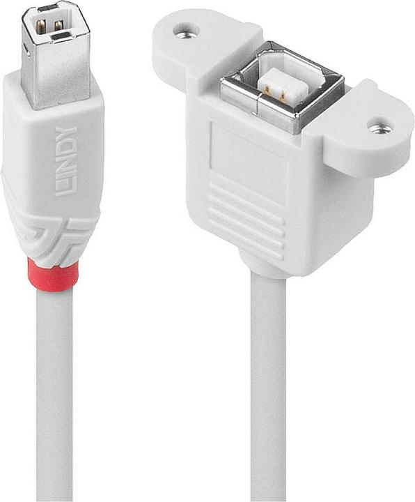 Produktbild Lindy Verlängerungskabel (1 m, USB 2.0)