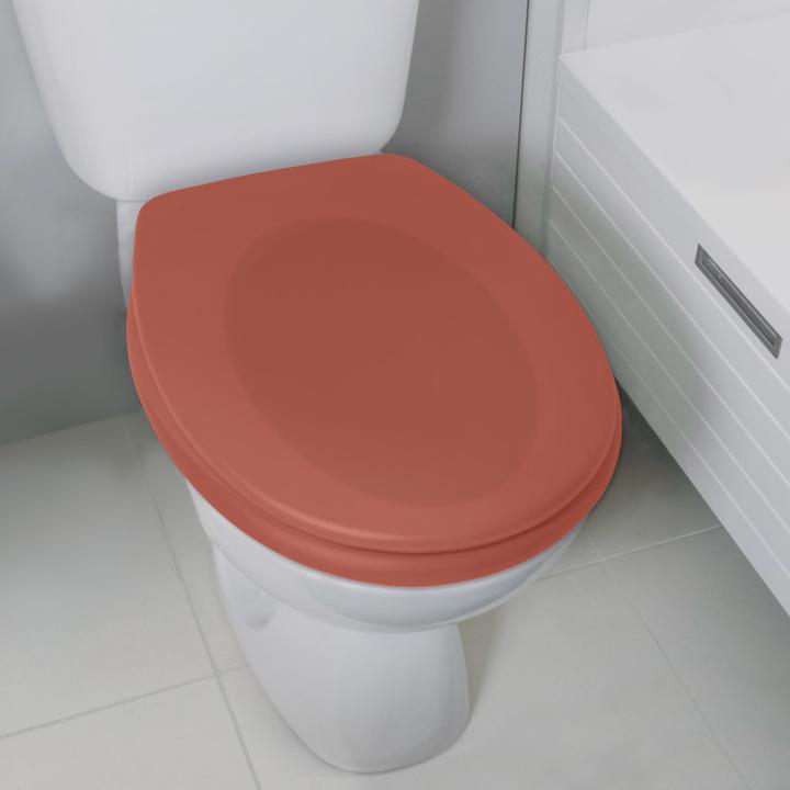Image du produit spirella Siège de toilette Neela Terracotta mat