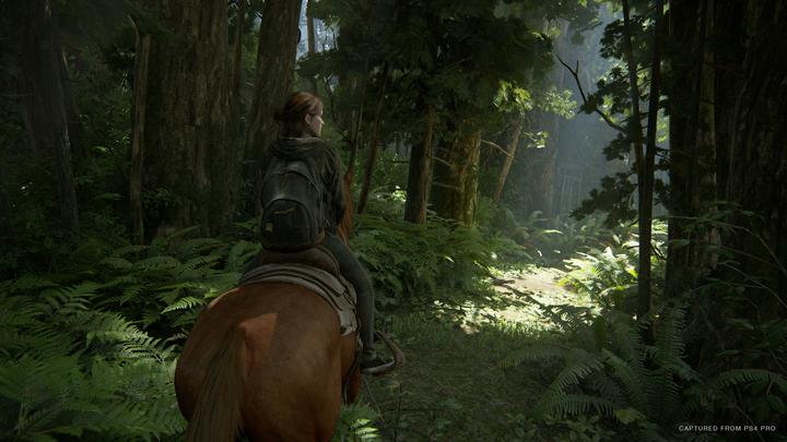 Produktbild Sony The Last of Us Part II Standard Edition (EN/RU) PS4 (PS4, DE)