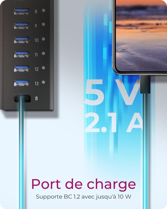 Immagine prodotto Icy Box Ib-Ac6113 (USB-B, 13 Porti)