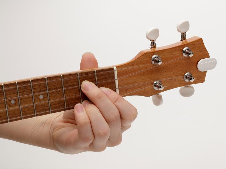 Actual product image Korg MiniPitch