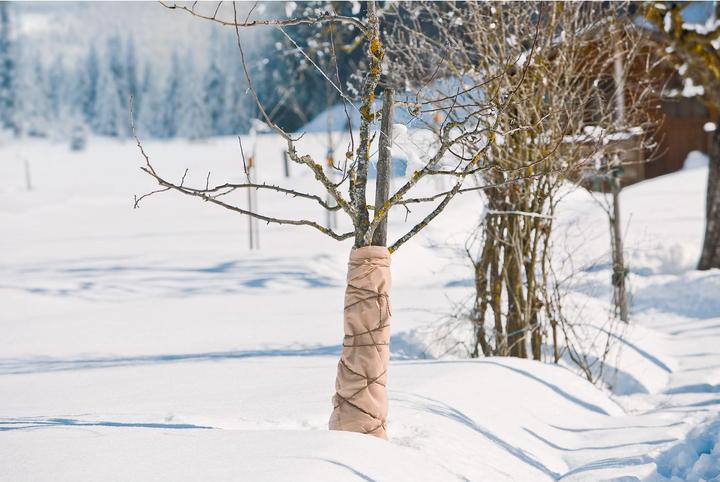 Produktbild Windhager Winter-Vlies Superprotect