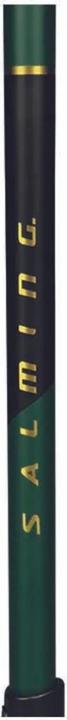 Image du produit Salming Canne d'unihockey Novalite Q1 F27 (100 cm, Gauche)