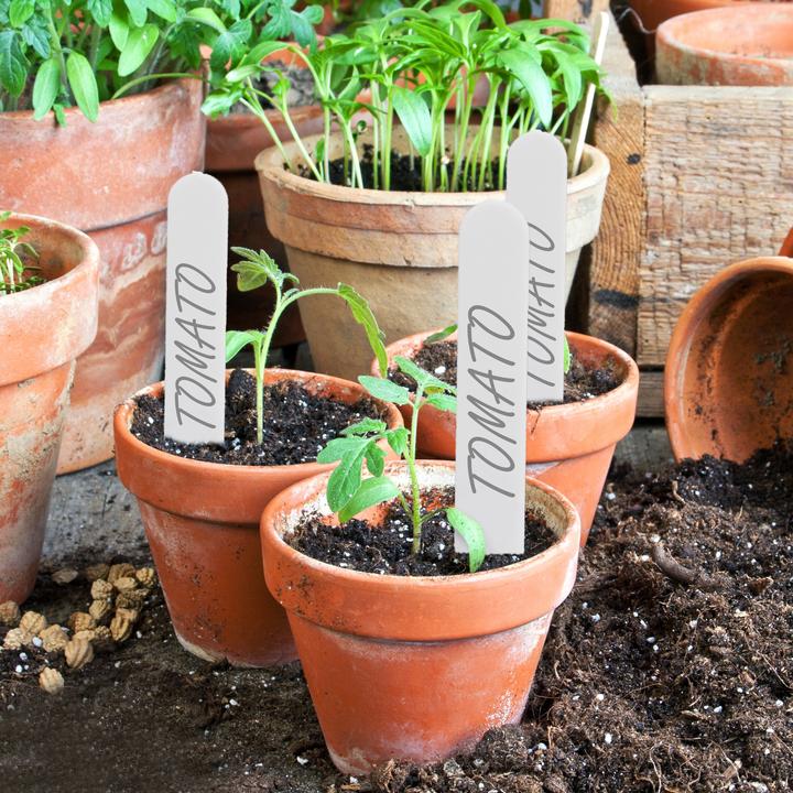 Immagine prodotto Relaxdays 500x etichette per piante (0.10 cm, 1.50 cm)