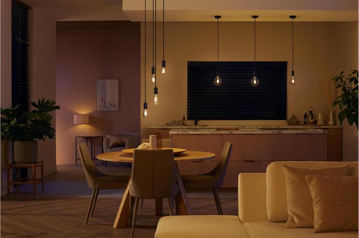 Actual product image Philips Hue Philips E27 single pack Giant Globe (E27, 7 W, 550 lm, 1 x, G)