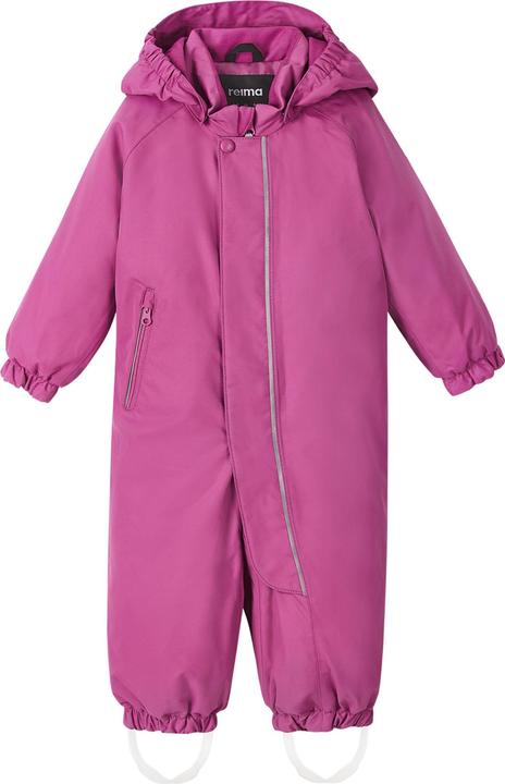 Viola magenta