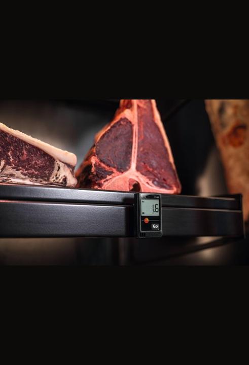 Produktbild Testo 174 H Set - Mini-Datenlogger für Temperatur und Luftfeuchtigkeit im Set