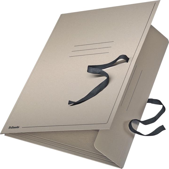 Leitz Esselte Zeichnungsmappe (A3, 1 x)