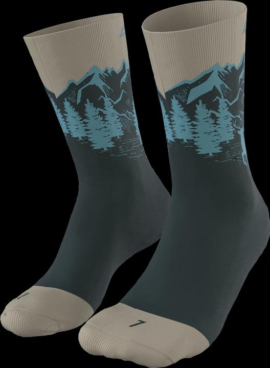 Immagine prodotto Dynafit Calzini Stay Fast Unisex (43 - 46)
