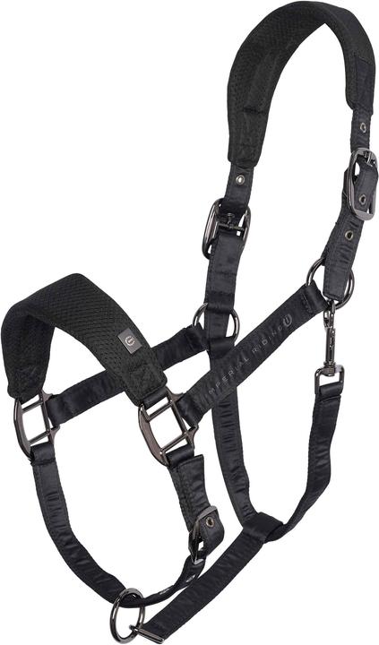 Image du produit Imperial Riding Cloud Dancer