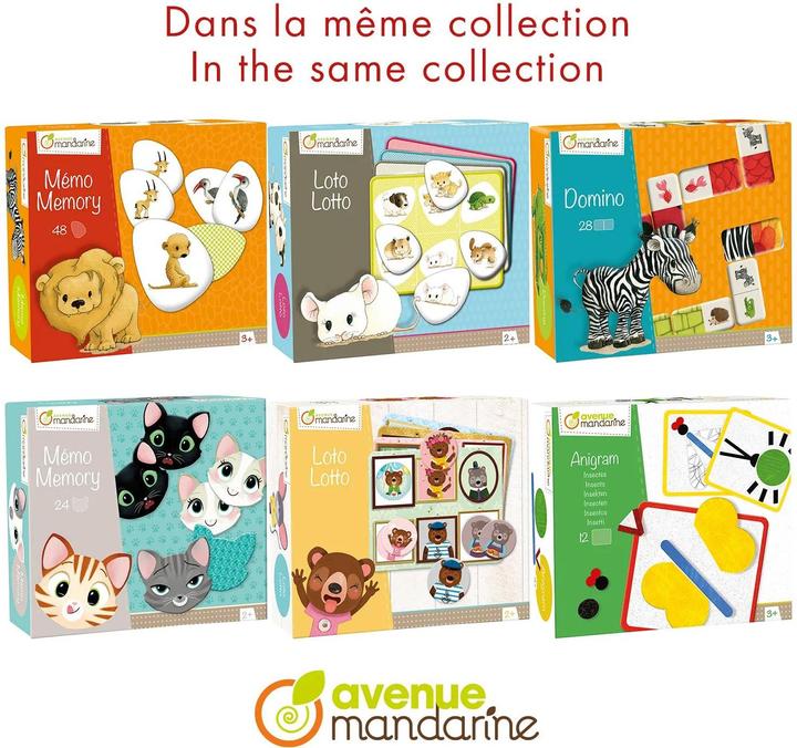 Produktbild Avenue Mandarine Kreativboxen (24 Teile)