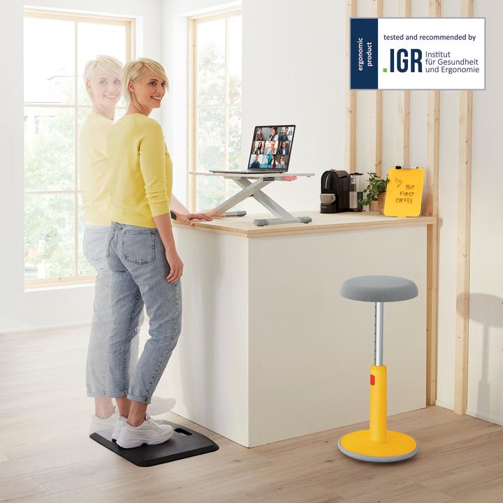 Produktbild Leitz Ergo Cosy Sitz-/Steh-Schreibtischaufsatz