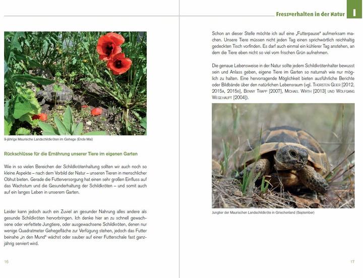 Produktbild Der Schildkröten-Gärtner - Naturnahe Ernährung Europäischer Landschildkröten (Deutsch, Thorsten Geier, 2016)