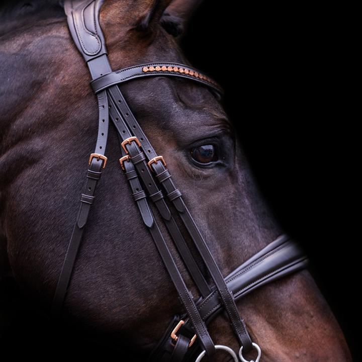 Immagine prodotto Imperial Riding Fria