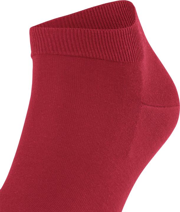 Produktbild Falke ClimaWool (Einzelpack, 45 - 46)