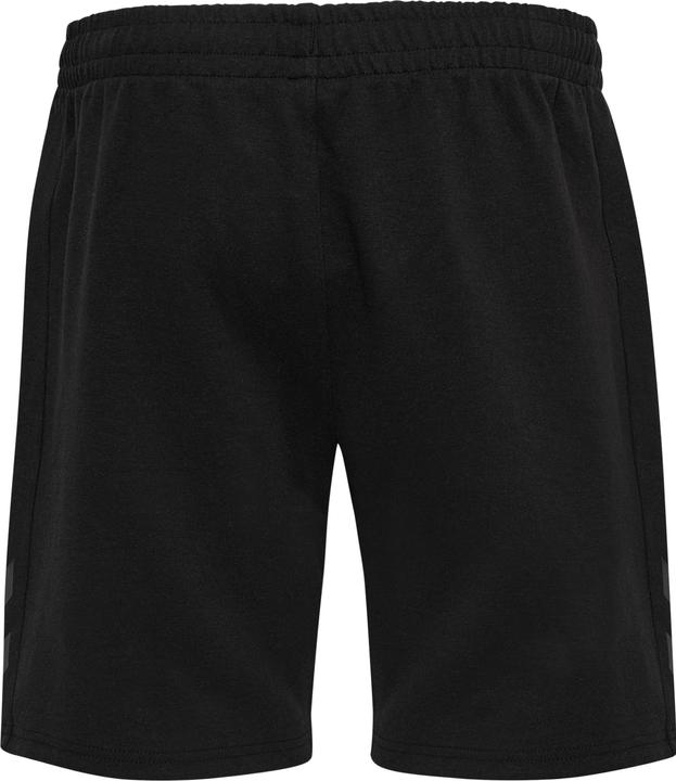 Image du produit hummel Hmltravel Shorts (L)