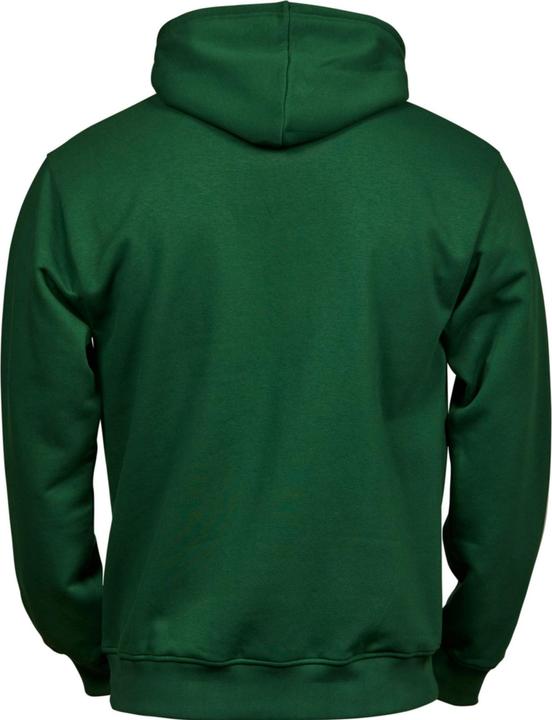 Actual product image Tee Jays Childrens/Kids Power Hoodie (110, 116, 115 A)