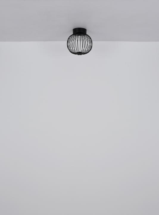 Actual product image Globo Galway