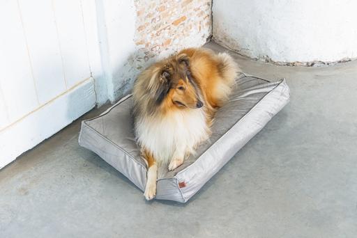 Produktbild Designed by Lotte Nalino (Hund)