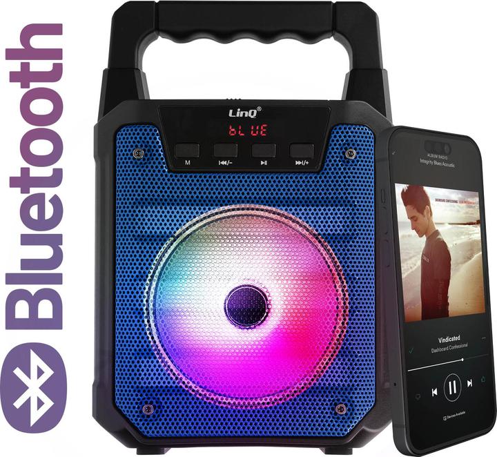 Actual product image LinQ 6.35mm microphone connector, Micro-SD card reader (3 h)
