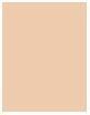 Image du produit Bourjois Always Fabulous 24H (100 Ivoire rose)