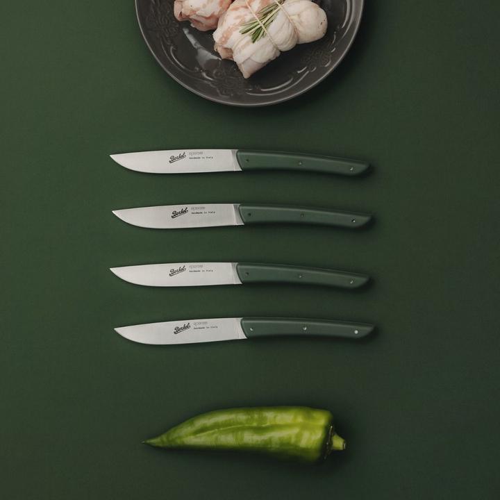 Actual product image Berkel Steak knife set 4 pcs. colour verde (4 Piece, Knife)