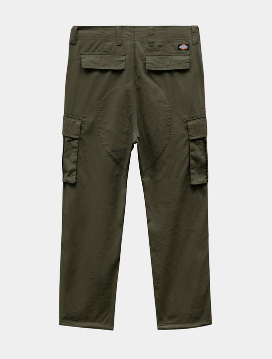 Actual product image Dickies Eagle Bend Cargo Pants (28)