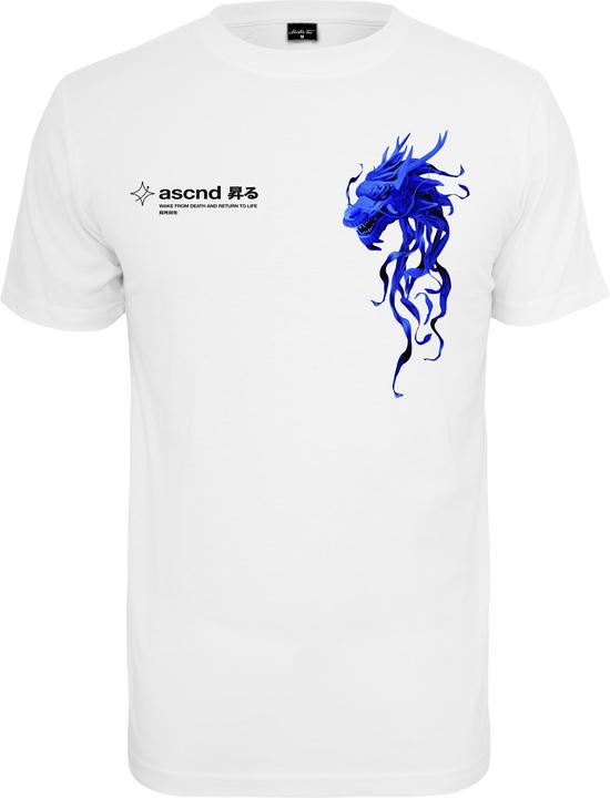 MT ASCND - 15709 (L)