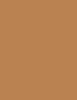 Image du produit Erborian High Definition Radiance (Caramel)