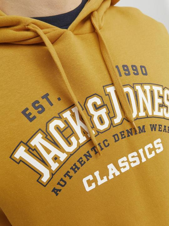 Image du produit Jack & Jones Logo Hoodie (XXL)
