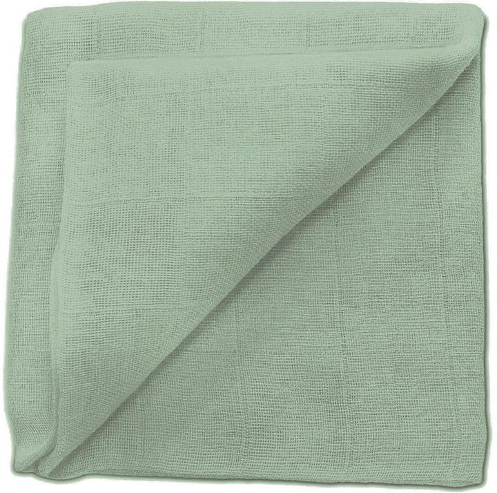 Eucalyptus green