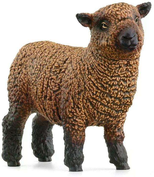 Image du produit Schleich Amis des moutons