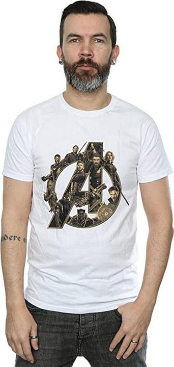 Image du produit Universal Textiles T-shirt en coton avec logo pour hommes (M)